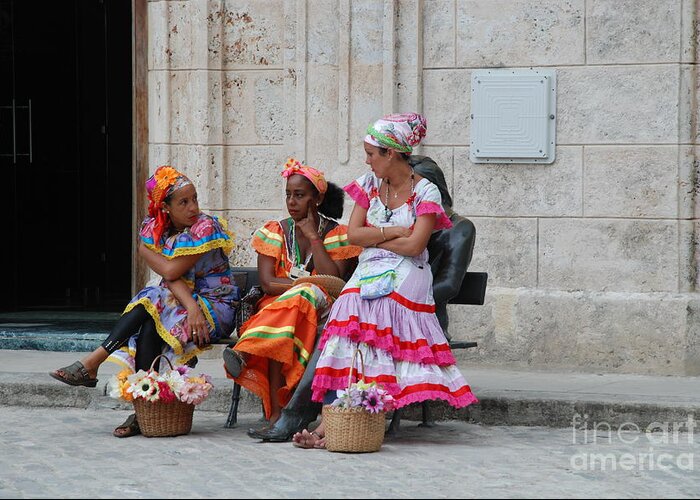 Cuba Greeting Card featuring the photograph Flower Meeting by Jim Goodman