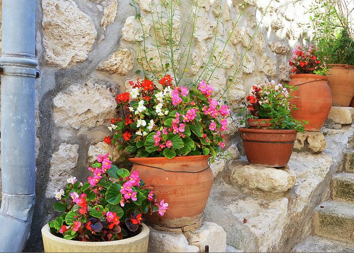 Flowers Greeting Card featuring the photograph Flower Pots in Les Baux by Carla Parris