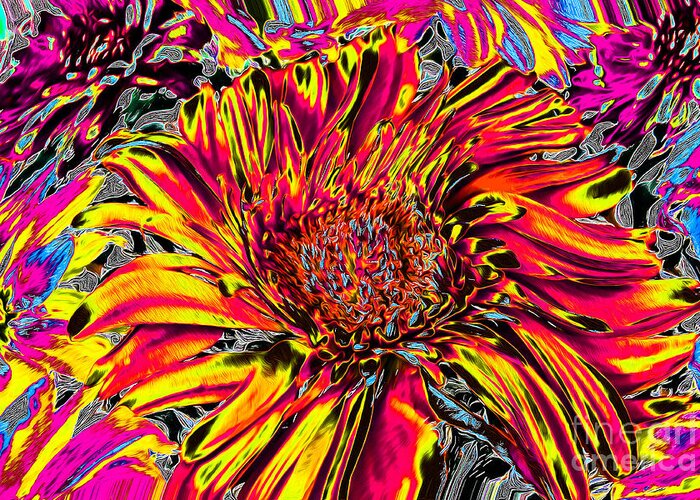 Flower Greeting Card featuring the photograph Flower Power II by Nina Silver