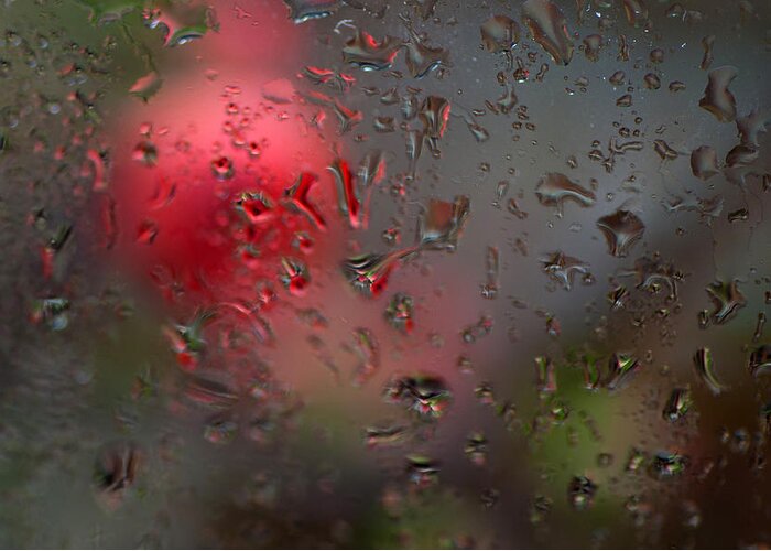 Rainning Greeting Card featuring the photograph Flower Seen Through The Window by Catherine Lau