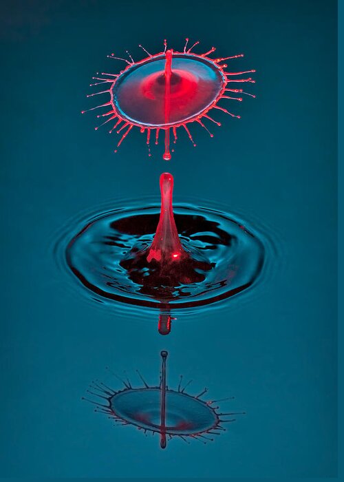 Water Drop Collision Greeting Card featuring the photograph Fluid Parasol by Susan Candelario