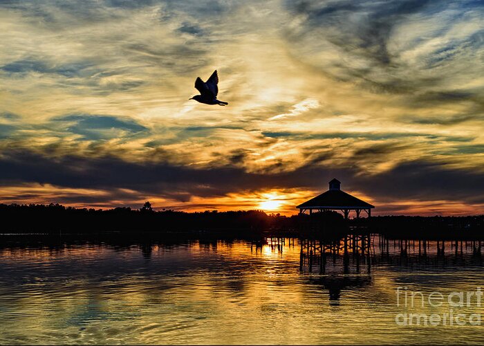 Nc Greeting Card featuring the photograph Fly Away by DJA Images