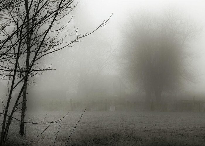 Fog Greeting Card featuring the photograph Fog 007 by Mimulux Patricia No