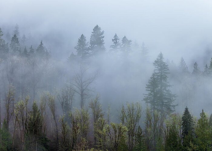 Landscape Greeting Card featuring the photograph Fog And The Cascade by Jonathan Nguyen