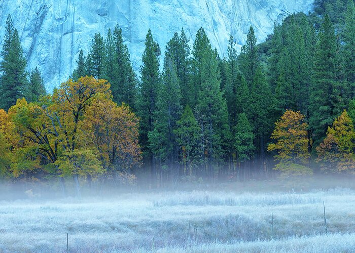 Nature Greeting Card featuring the photograph Fog-Frost-Fall by Jonathan Nguyen