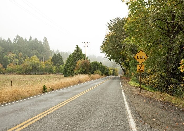 Fog On Placer Road Greeting Card featuring the photograph Fog on Placer Road by Tom Cochran