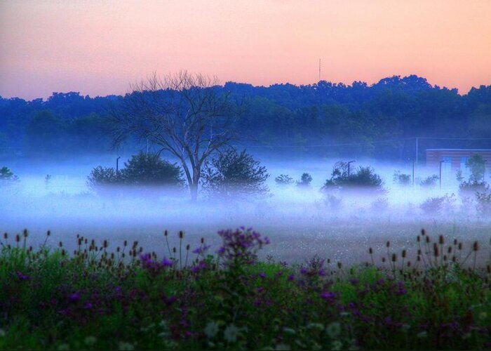 Fog Nature Greeting Card featuring the photograph FOG by Robert Pearson