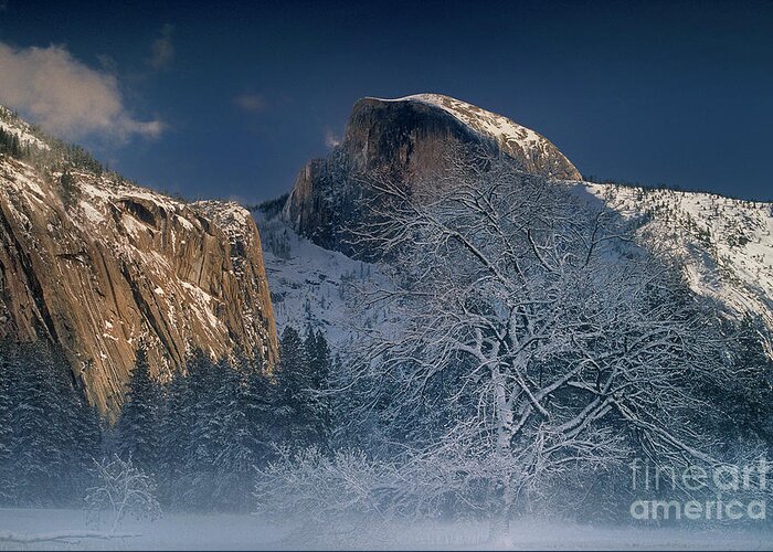 Yosemite National Park Greeting Card featuring the photograph Fog Shrouded Black Oak Half Dome Yosemite Np California by Dave Welling
