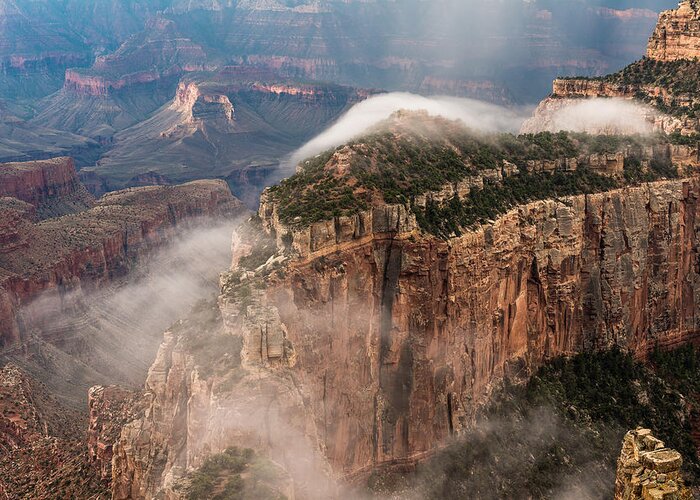 North Rim Grand Canyon Greeting Card featuring the photograph Fog Trail by Chuck Jason