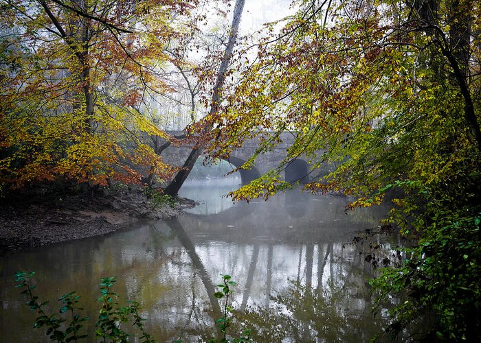  Greeting Card featuring the photograph Foggy Jemison Park by Just Birmingham