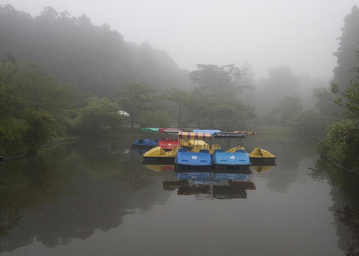 Morning Greeting Card featuring the photograph Foggy Morning Lake by Masami Iida