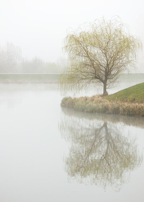 Foggy Greeting Card featuring the photograph Foggy pond by Miroslav Nemecek