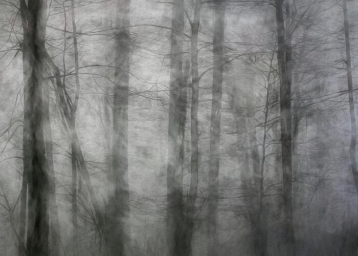 Foggy Greeting Card featuring the photograph Foggy Winter Woods by Francis Sullivan