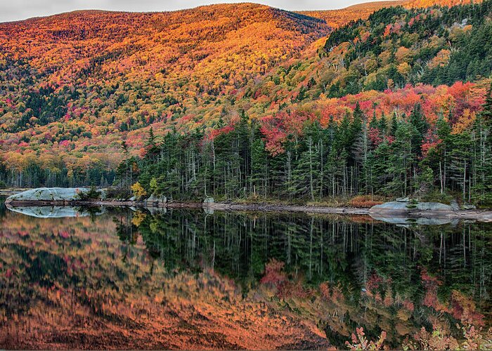 Beaver Pond Greeting Card featuring the photograph foliage at dawn on Beaver pond by Jeff Folger
