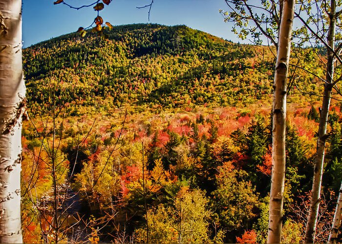 #fallfun Greeting Card featuring the photograph Foliage View from Crawford Notch road by Jeff Folger