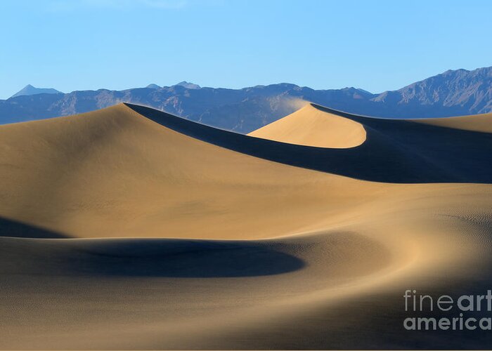 Sand Dunes Greeting Card featuring the photograph Follow the Curves by Michael Dawson