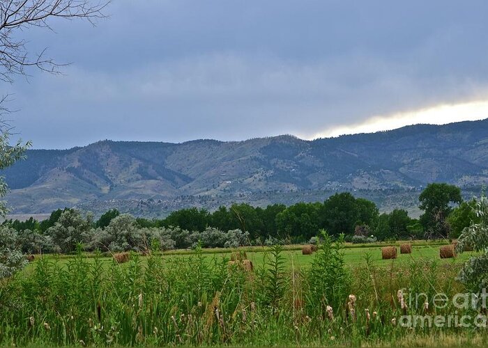 Foothills Greeting Card featuring the photograph Foothills of Fort Collins by Cindy Schneider