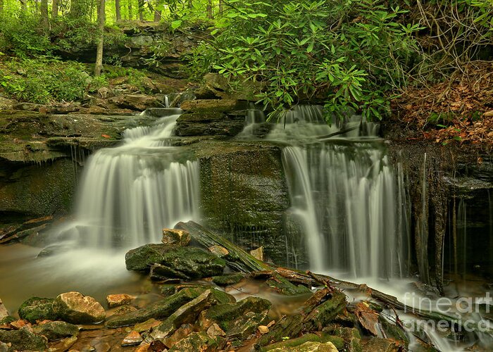 Cole Run Falls Greeting Card featuring the photograph Forbes State Forest Twin Falls by Adam Jewell