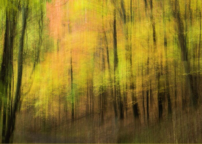 Impressionism Greeting Card featuring the photograph Forest Impressions by David Waldrop