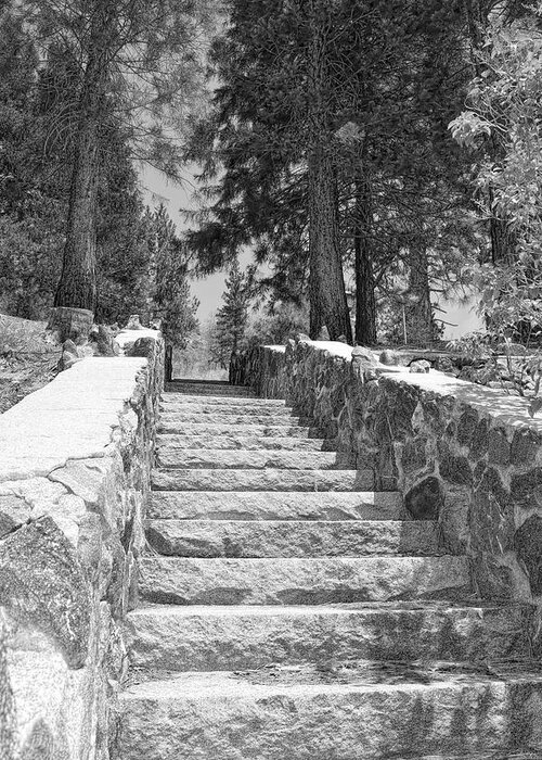 Forest Stairway Greeting Card featuring the photograph Forest Stairway by Glenn McCarthy Art and Photography