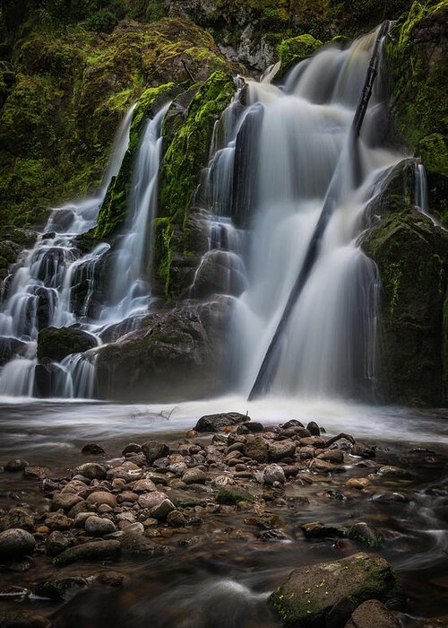 Waterfall Greeting Card featuring the photograph Forest Waterfall by Chris McKenna