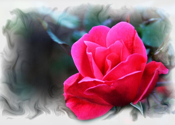Red Rose Greeting Card featuring the photograph Forever Love by Walter Herrit