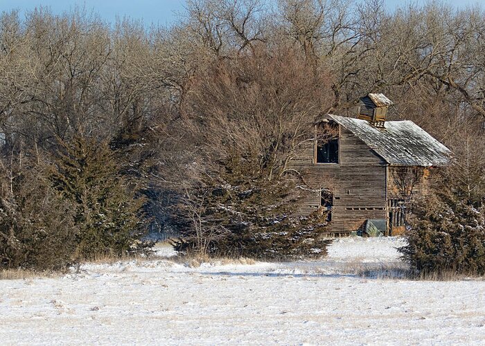 Barns Greeting Card featuring the photograph Forgotten by Susan Rissi Tregoning