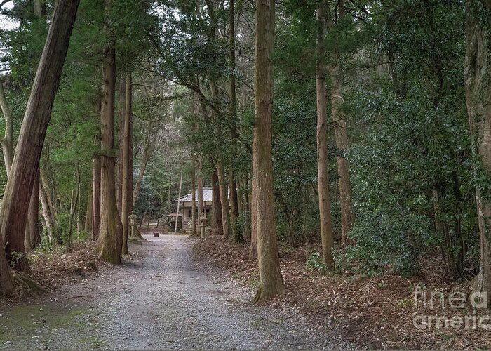Shrine Greeting Card featuring the photograph Forrest Shrine, Japan by Perry Rodriguez