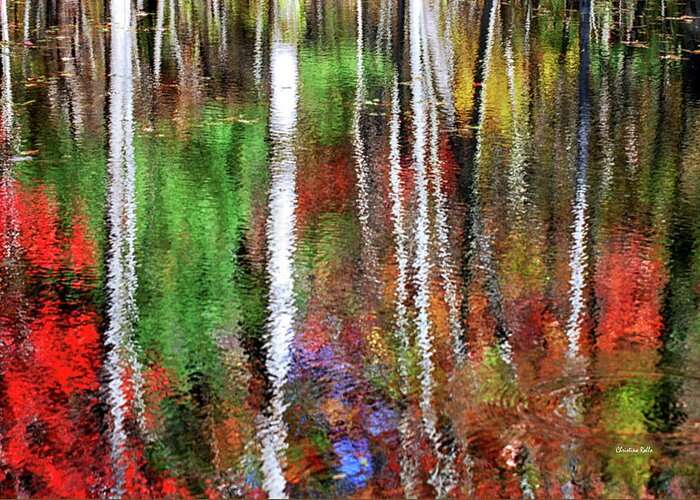 Water Greeting Card featuring the photograph Forsaken Woods by Christina Rollo