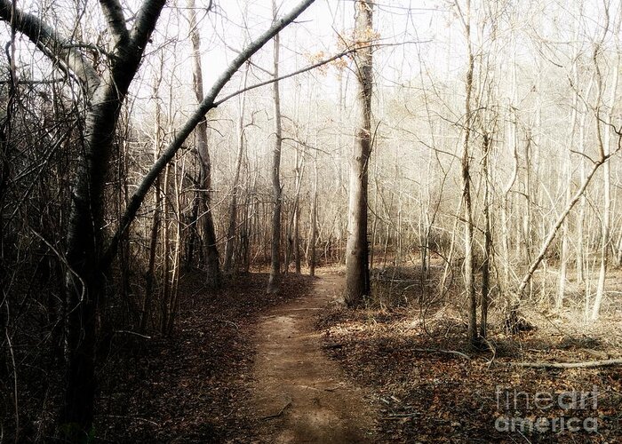 Outdoors Greeting Card featuring the photograph Fort Yargo Trail by Cat Rondeau