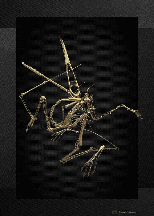 'fossil Record' Collection By Serge Averbukh Greeting Card featuring the digital art Fossil Record - Gold Pterodactyl Fossil on Black Canvas #1 by Serge Averbukh