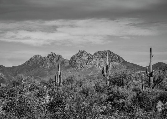 Mountains Greeting Card featuring the photograph Four Peaks Black and White by Teresa Wilson