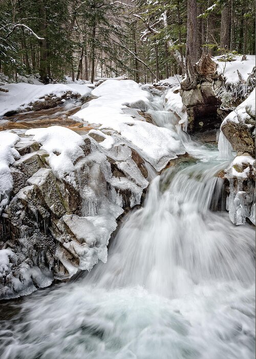 Water Falls Greeting Card featuring the photograph Freeze On The Basin Trail NH by Michael Hubley