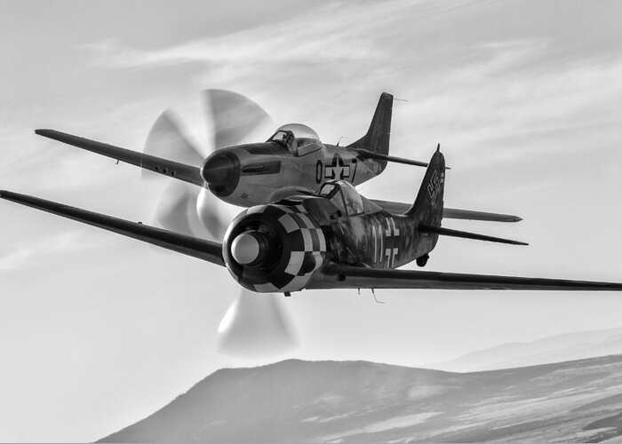 erickson Aircraft Collection Greeting Card featuring the photograph Frenemies I by Jay Beckman