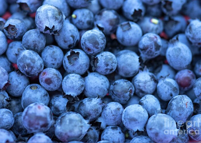 Fresh Blueberries Greeting Card featuring the photograph Fresh Blueberries by Alana Ranney