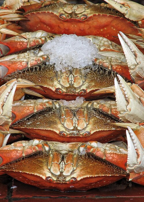 Darin Volpe Food Greeting Card featuring the photograph Fresh Crabs - San Francisco California by Darin Volpe