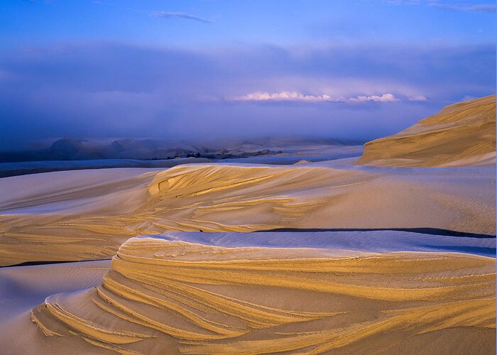 Coast Greeting Card featuring the photograph Frost and Sand by Robert Potts
