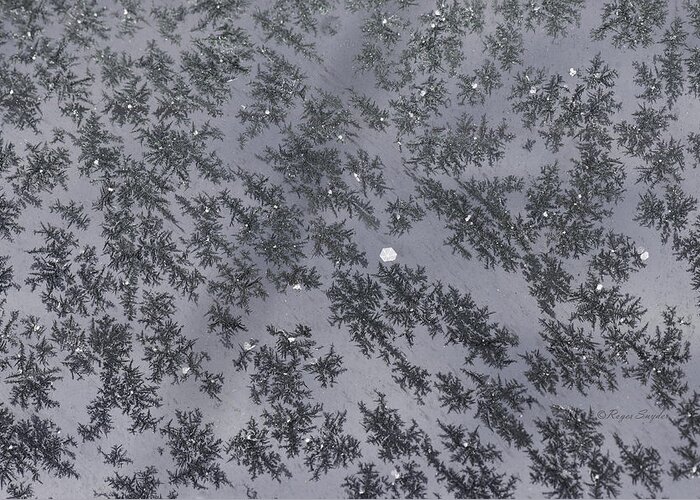  Greeting Card featuring the photograph Frost on Car Window 6 by Roger Snyder