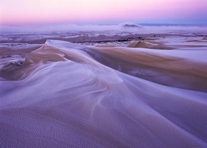 Coast Greeting Card featuring the photograph Frost on the Dunes by Robert Potts