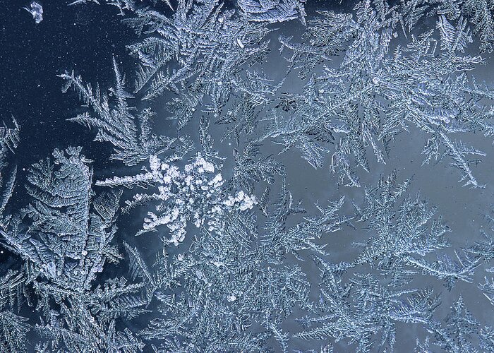 Frost Macro Greeting Card featuring the photograph Frost Series 13 by Mike Eingle