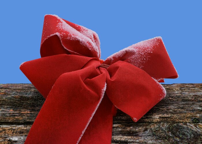 Christmas Greeting Card featuring the photograph Frosted Bow by Nikolyn McDonald
