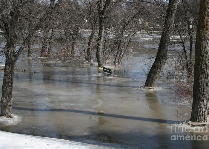 Spring Greeting Card featuring the photograph Frozen Floodwaters by Mary Mikawoz