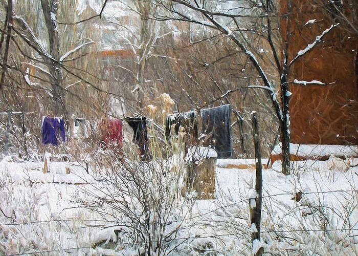 Frozen Greeting Card featuring the photograph Frozen Laundry by Lou Novick