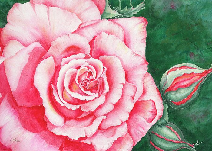 Rose Greeting Card featuring the painting Full Bloom by Lori Taylor