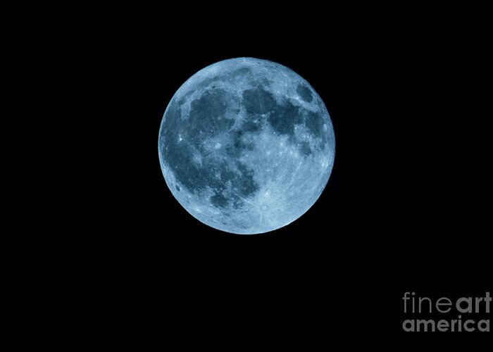Full Moon Greeting Card featuring the photograph Full Harvest Moon by Southern Photo