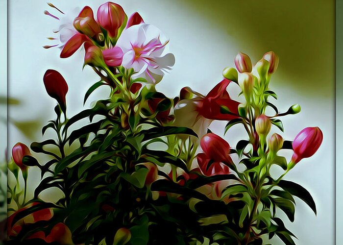 Flower Greeting Card featuring the photograph Fushia by Leslie Revels