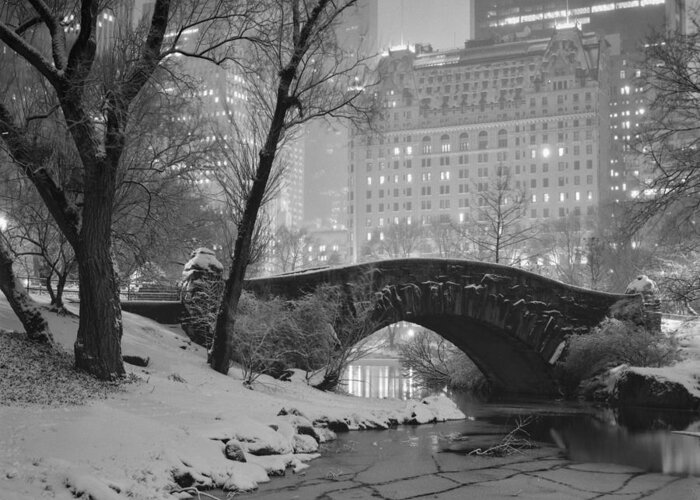 Gastow Bridge Greeting Card featuring the photograph Gapstow Bridge In Snow by Randy Lemoine