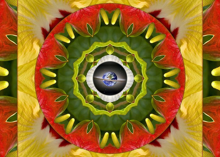 Mandalas Greeting Card featuring the photograph Garden Aglow by Bell And Todd