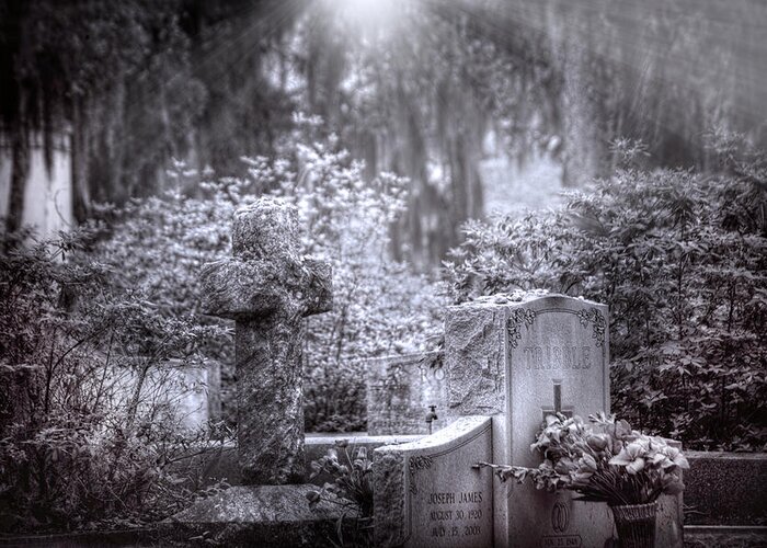 Bonaventure Cemetery Greeting Card featuring the photograph Garden of Tranquility by Mark Andrew Thomas