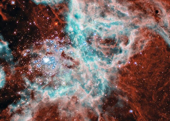 Nature Greeting Card featuring the photograph Gas and dust where thousands of stars are being born in the Doradus Nebula by American School